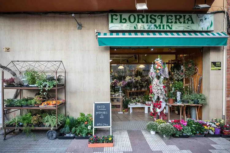 Floristeria Jazmín Floristeria Jazmín